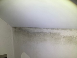 Schimmel aan de binnenzijde van een gevel